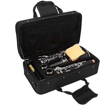 17 Keys Clarinet Set B Minor Bakelite Clarinet with Cleaning Cloth