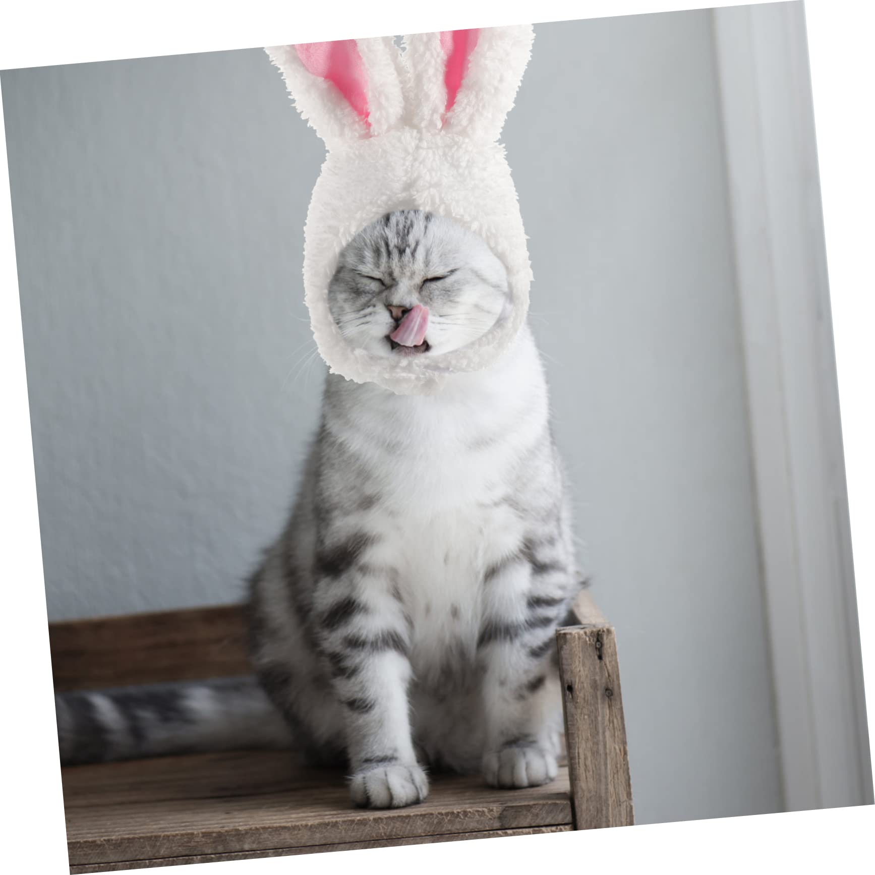 2 Cappelli Da Coniglio Per Animali Domestici - Lana D'Agnello, Regolabili, Per Cani E Gatti - Foto 5