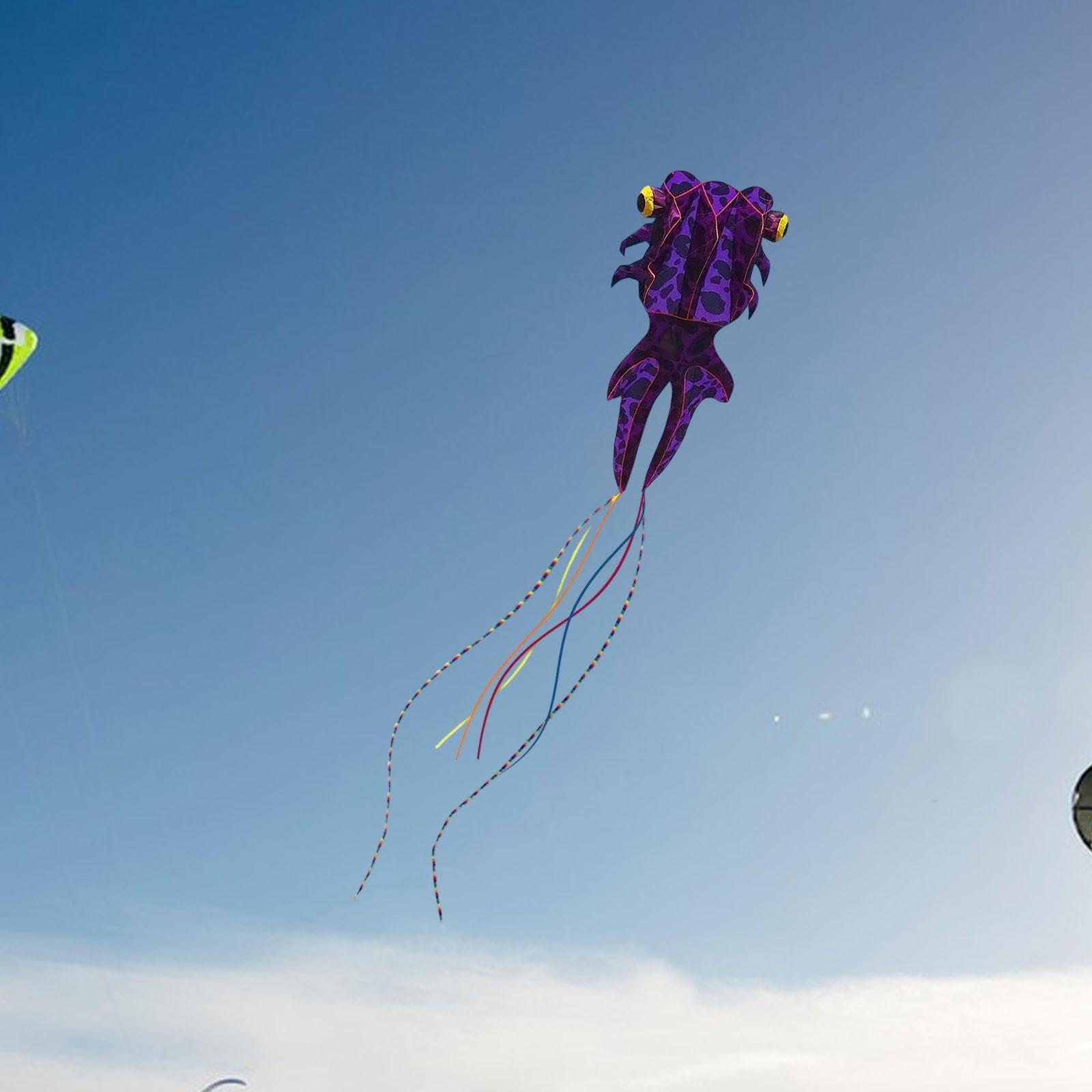 Großer Drachen, Riesendrachen, Tier, Große Outdoor Aktivitäten, Fliegendes Spielzeug für Strandausflüge, Vergnügungspark, Kinder, Geschenk für Erwachs, Lila