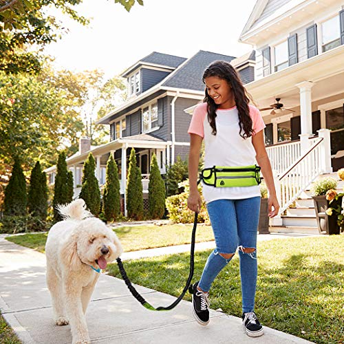 AIMENG Dog Leash with Waist Pack 2 Pieces Set Specials, Elastic Retractable Bungee Reflective Dog Leash & Multifunction Waist Pack Ideal for Medium to Large Dogs for Running Training Walking - Thumbnail 3