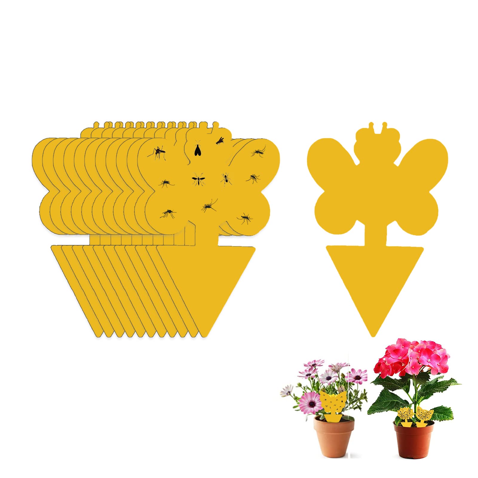 Fruit Fly Sticky Trap, 48PCS Fungus Gnat Traps Insect Trap, yellow sticker protection plant for Kitchen Indoor Outdoor Catch White Flies Mosquitos Fungus Flying Insects Houseplant (Bee No. 1)