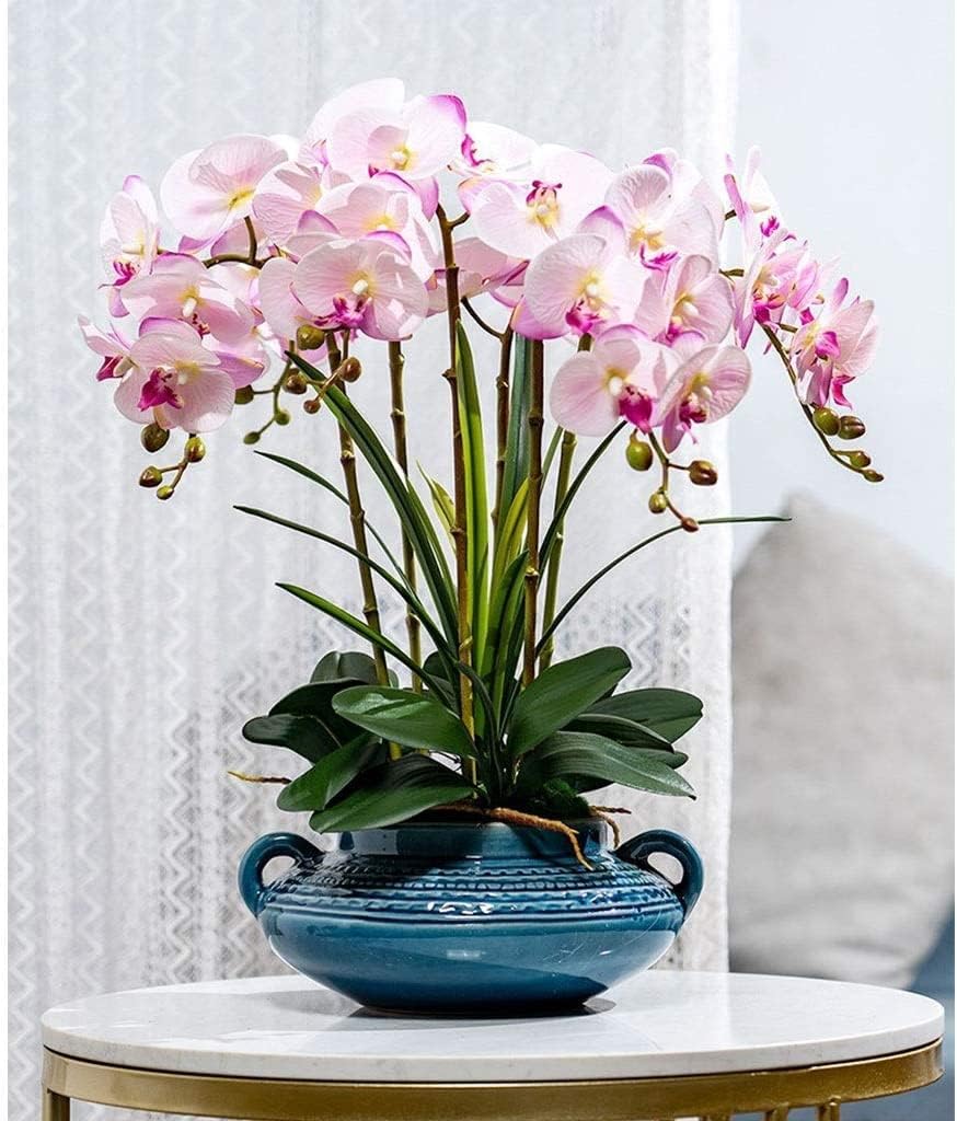 貴重盤】THE MODS / EP2枚 +ソノシートSET THE MODS / ザ・モッズ商品