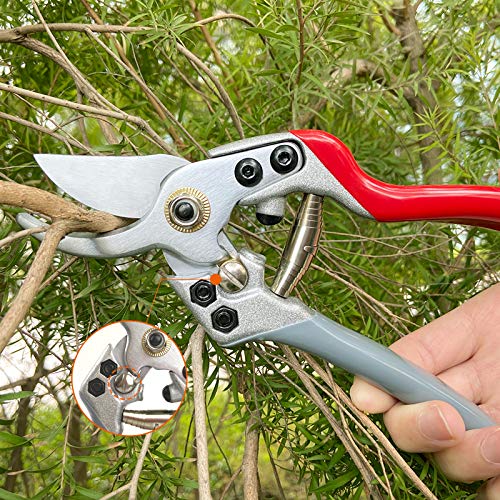 Pruning Shears, Garden Clippers Plant Scissors Professional Bypass Pruner Tree Branch Cutter Plant Trimming Scissors 2 PCS Red - Thumbnail 5