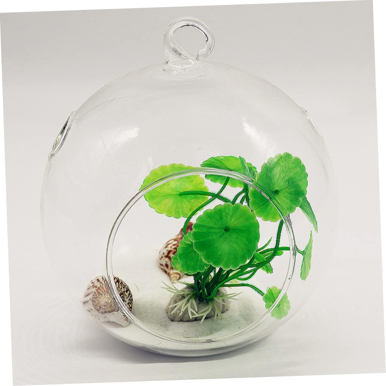 6 Pcs Glass Ball Vases Terrarium Decor Bulk Hanging Vases for Flower Plants