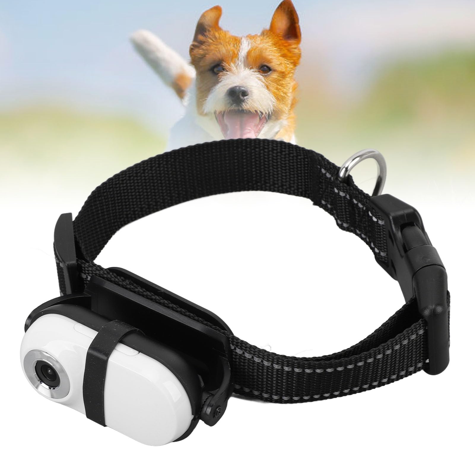 SENECESLI Telecamera per Collare per Gatti 1080P, Telecamera per Animali HD, Mini Telecamera D'azione per Registrazioni Video, Telecamera per Collare per Cani per Animali Domestici, (32GB)