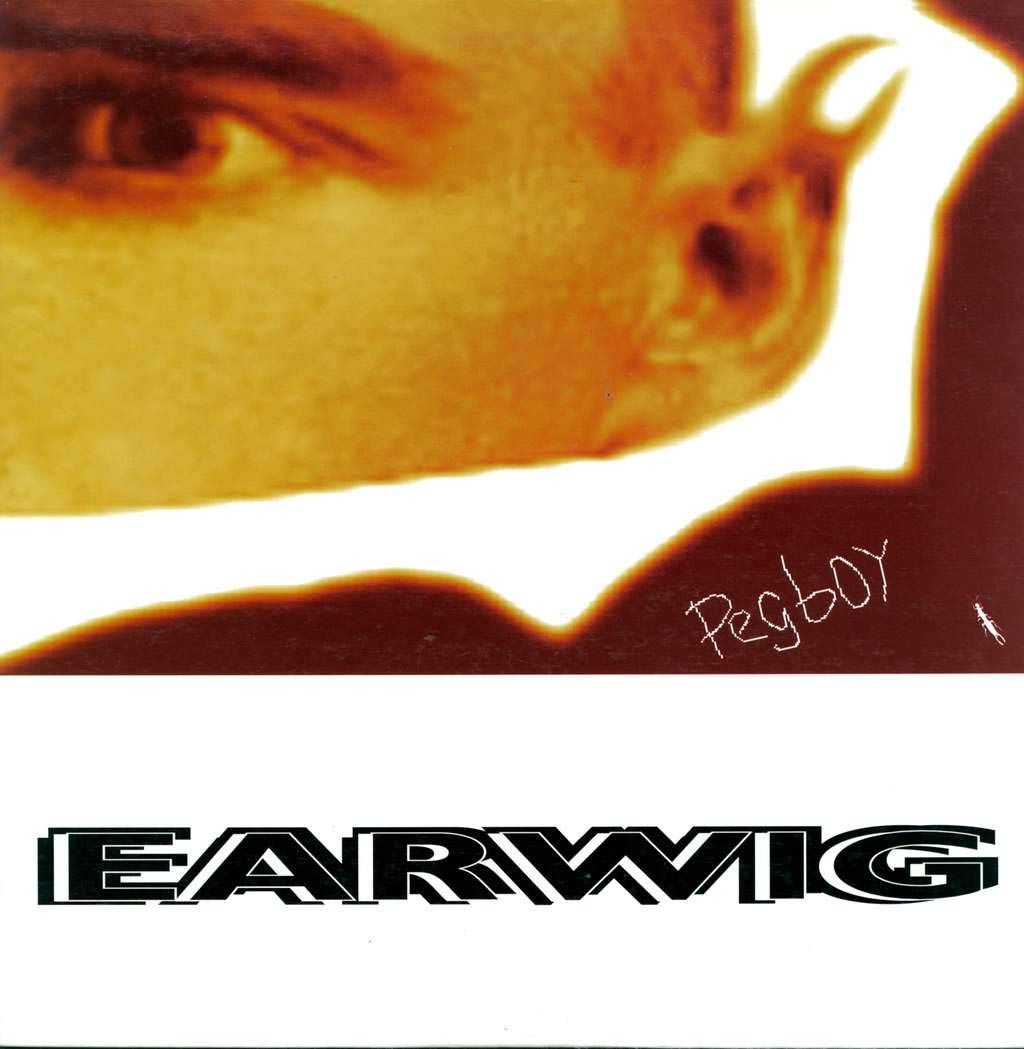 Earwig