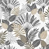 Douceur d'Intérieur