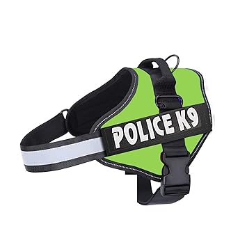 Emily Pets Police-K9 Dog Harness,No Pull Harness,Breathable and Easy Control with Handle & Leash Attachment ,Easy Walking Training for Dog,Dog Training No Escape Adjustable Reflective Vest(L,Light Green)