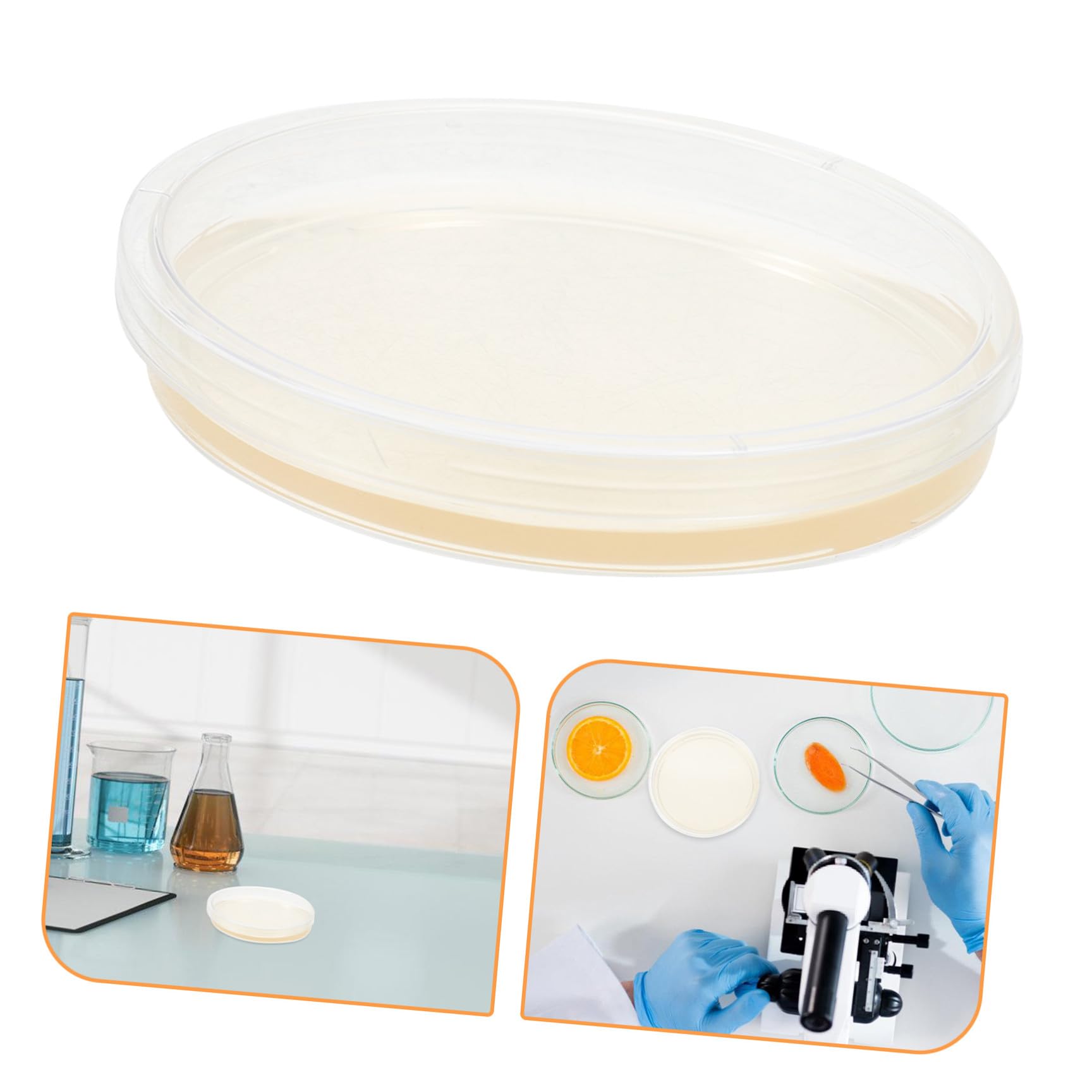 20 Pezzi Piastre di Petri Rotonde in Plastica Agar Nutritivo da 9 Cm, Coperchi Ermetici per Crescita Stabile, per Esperimenti Scientifici in Laboratorio