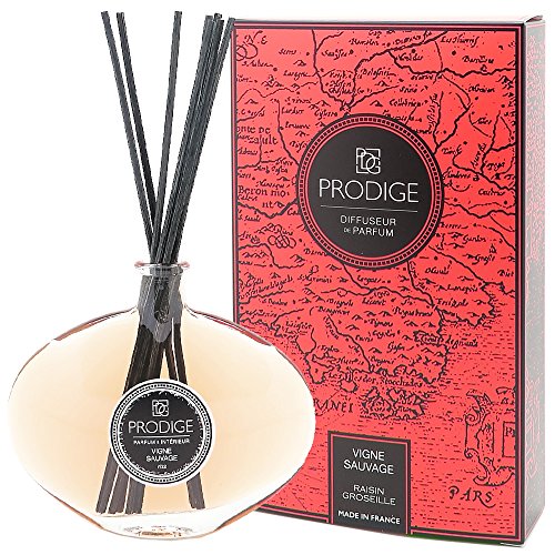 DIFFUSEUR DE PARFUM SABINA - VIGNE SAUVAGE (raisin groseille)