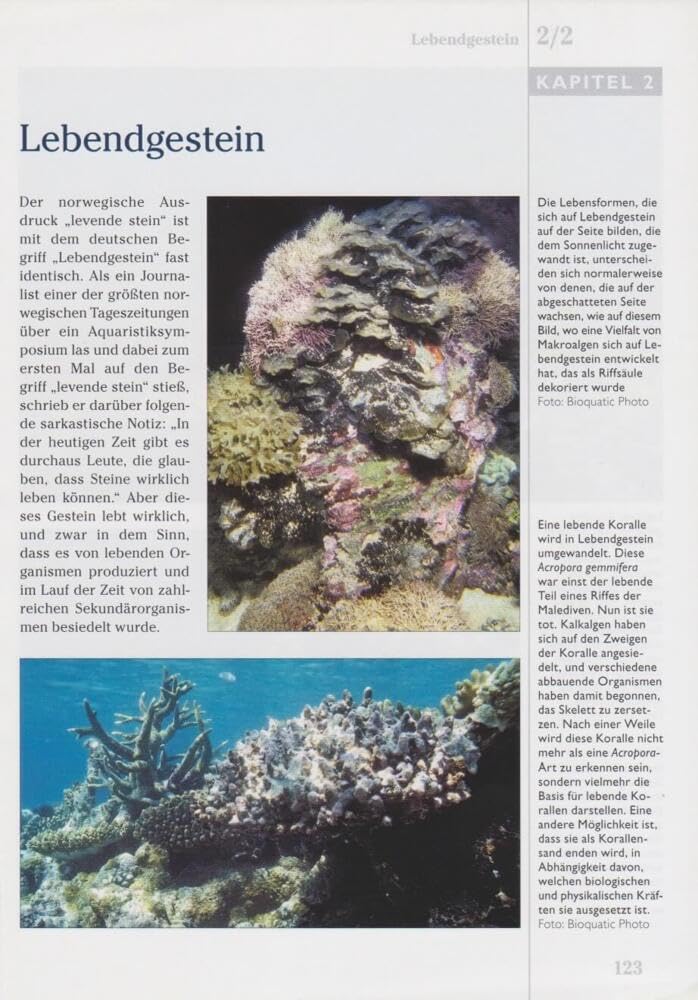 Das Korallenriff-Aquarium - Band 2: Aquarientypen, Einrichtung, Krankheiten, Lebendgestein, Algen