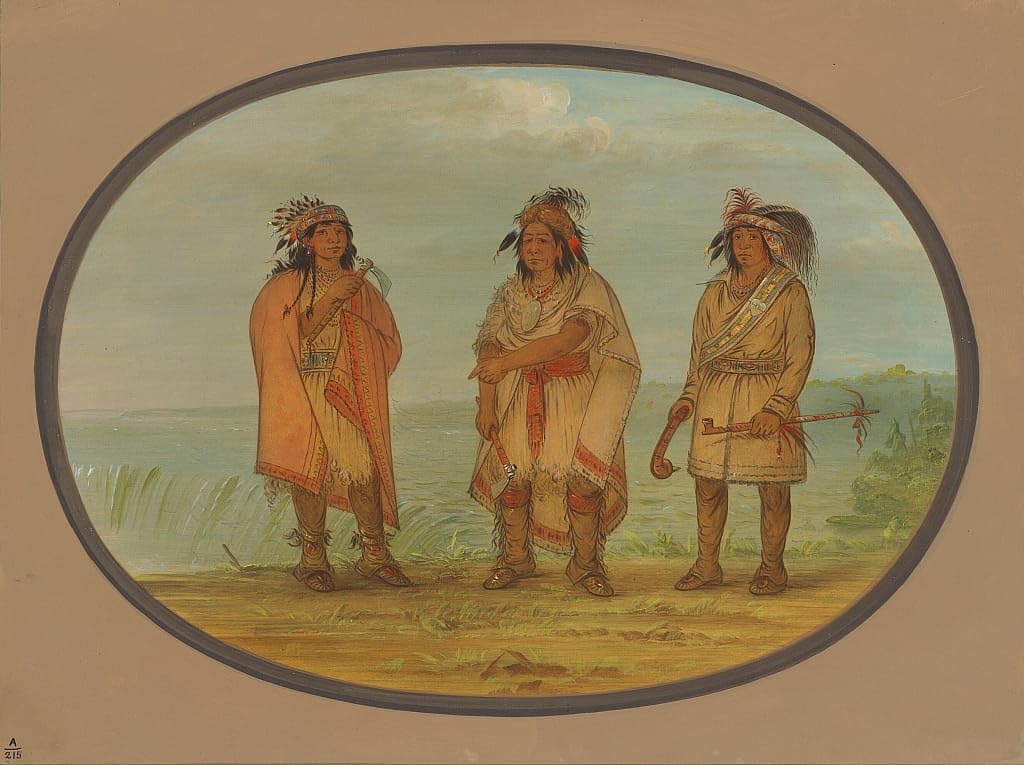 Tableau Seneca Chief Red Jacket George Catlin affiche art toile 60x90cm - 5