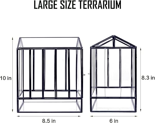 Miniatura 3 de REDHUGO Macetero de cristal hecho a mano, terrario, centro de mesa de suculentas, caja de mesa, decoración moderna, contenedor de plantas de regalo