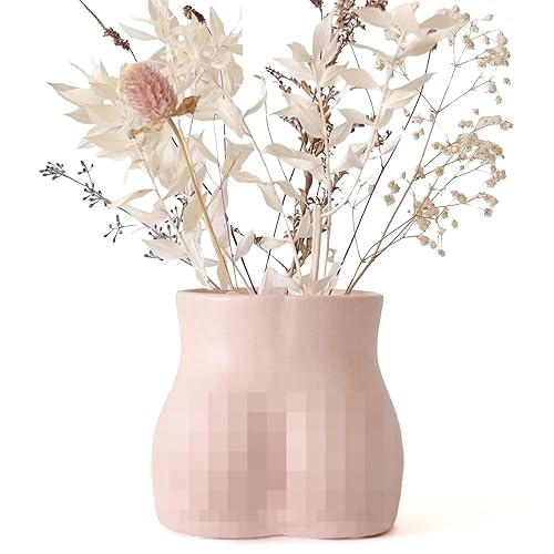 BASE ROOTS Plant Pot Ceramic Planter Vase with Drainage for Succulents, Cactus, Flowers - Ideal for Boho Indoor & Outdoor Garden, Aesthetic Living Room, Bedroom, Desk Organizer Decor & Gift Idea - Blush Pink