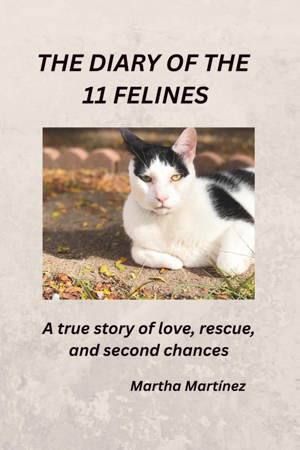 THE DIARY OF THE 11 FELINES: A true story of love, rescue, and second chances