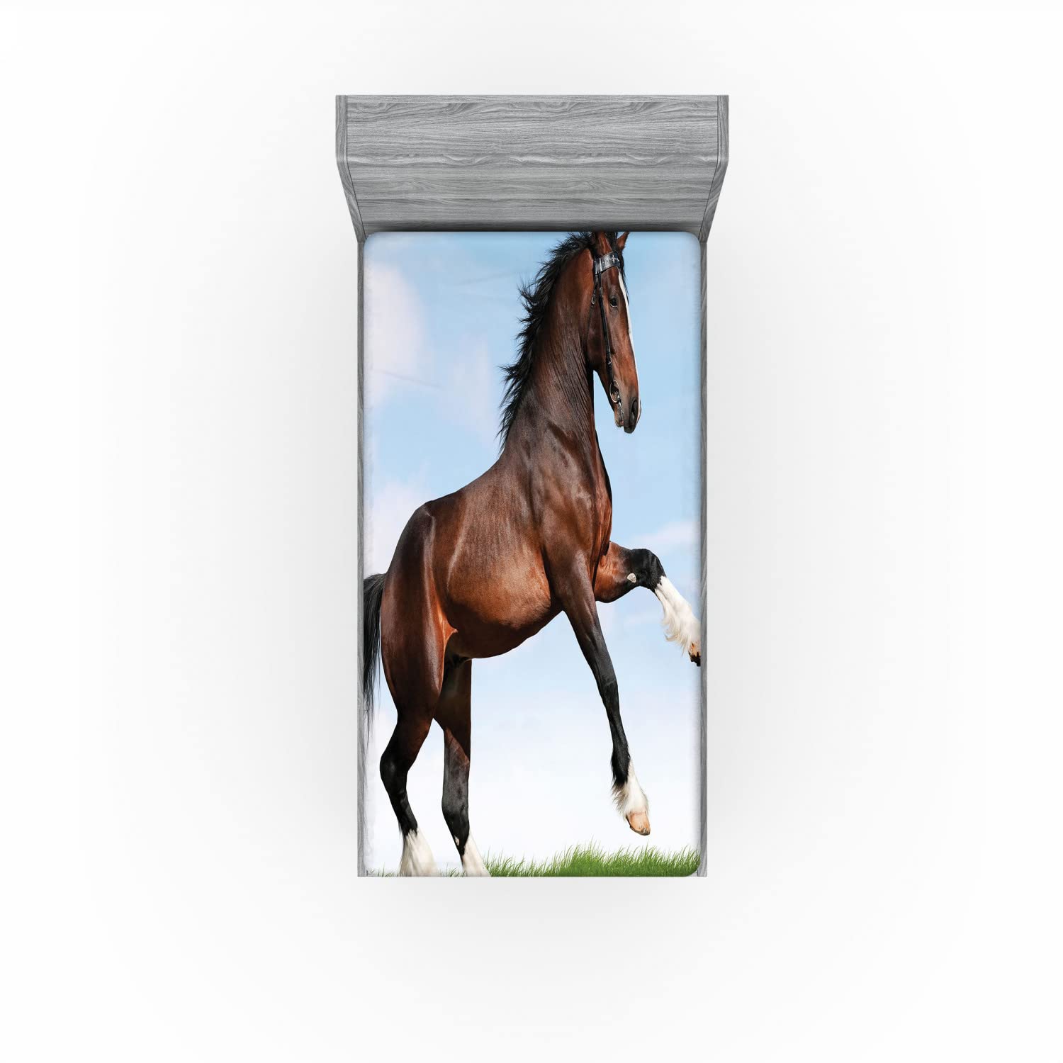 Ambesonne Nature 2 Pack Fitted Sheet, Horse Pacing on Grass, Bed Cover All-Round Elastic Deep Pockets 2 Pieces, Package Contains 2 Twin Size Fitted Sheets, Brown Pale Blue