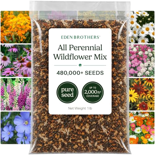 Eden Brothers All Perennial Wildflower Mixed Seeds for Planting, 1 lb, 480,000+ Seeds with Lupine...