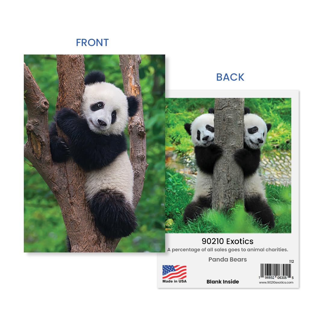 10 tarjetas de felicitación de animales surtidas para todas las ocasiones, 5 x 7 pulgadas (A7), plegadas, interior en blanco, león, caballos, cebras, delfines, pandas, koalas, osos