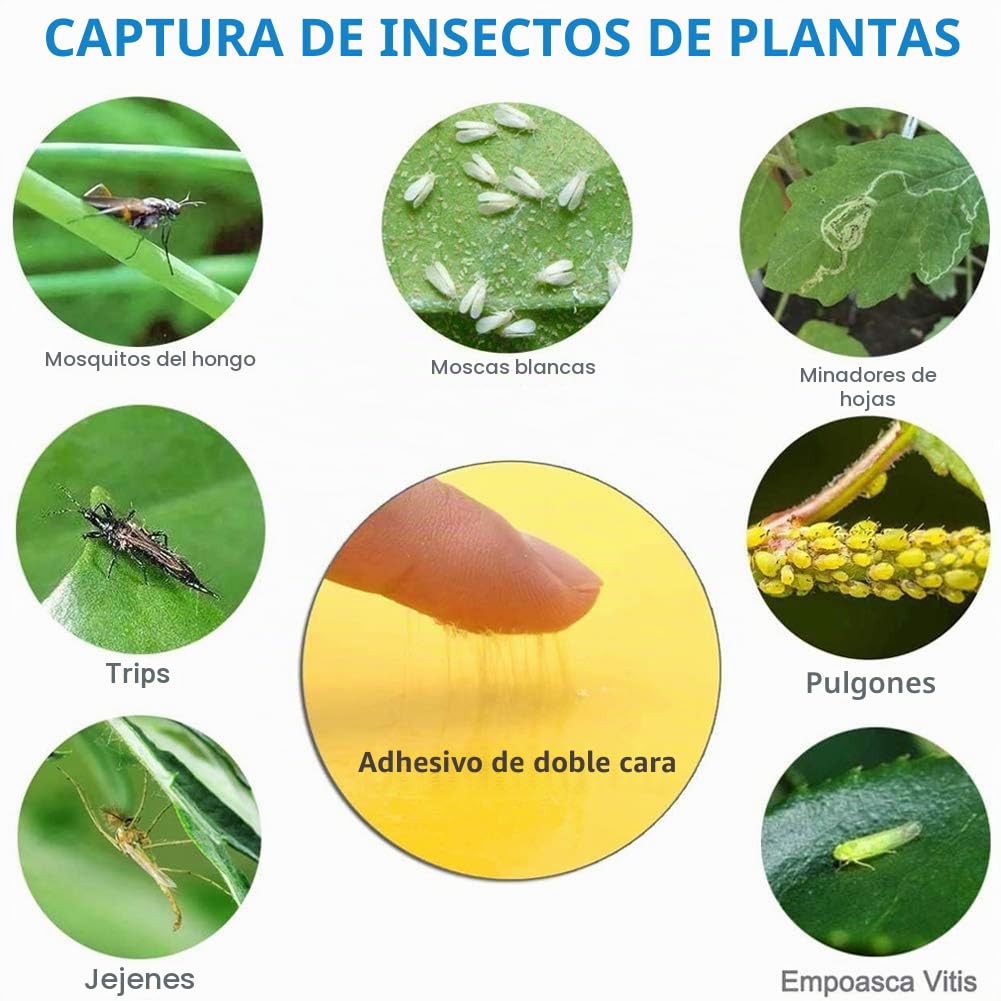 Sunshine smile 40 Piezas Trampa Moscas, Pegatinas Adhesivas de Papel de Mosca Amarillas, atrapamoscas para Plantas, Trampas de Mosca pegajosas (40-Amarillo)