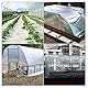 Hikrxya 2 x 3M Dick Transparent Gewächshausfolie Polyethylen Folie Plastikfolie Stark Staubschutzfolie Reißfest Gartenfolie aus Polyethylen für Gartenarbeit Treibhaus Folientunnel (125Mu / 500G)