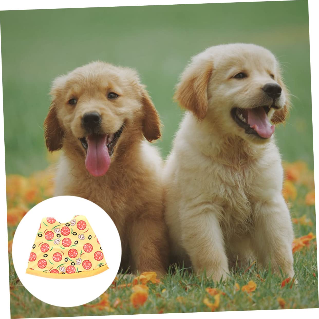 BESPORTBLE 3pezzi Costume Per Pizza Per Halloween Abbigliamento Per Animali Domestici e Comodo Per e Speciali