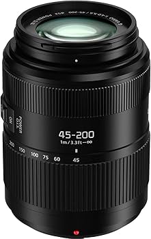 良品 LUMIX G VARIO 45-200mm F4.0-F5.6 LUMIX G VARIO 45-200mm/F4.0-5.6/MEGA O.I.S. H-FS045200 中古