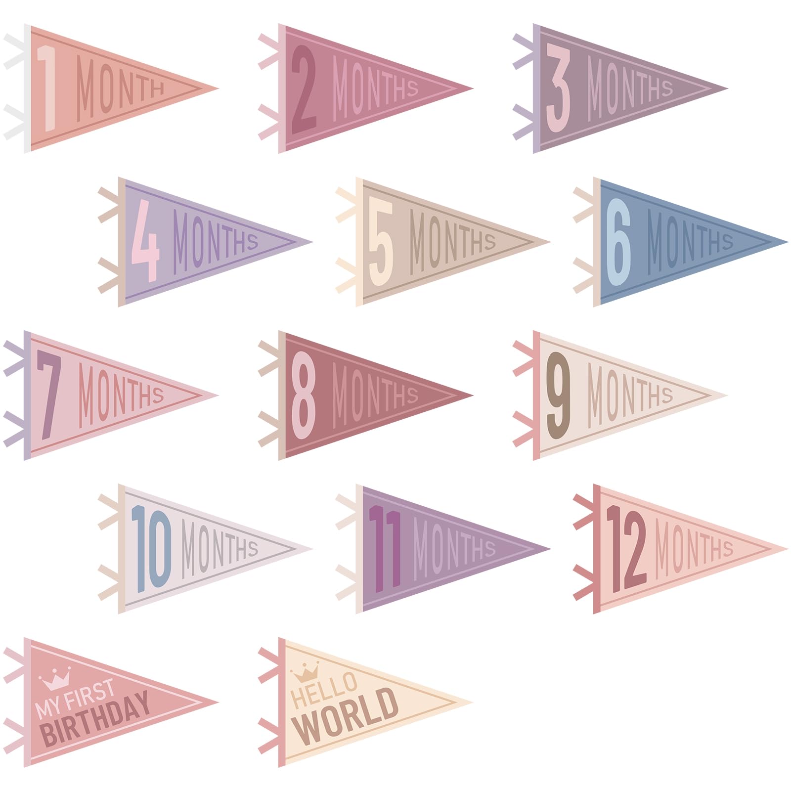 VitalCozy 14 Pcs Baby Milestone Pennant Signs Monthly Milestone Banner Flags Pennant Triangle Banner Age Flag Signs for Boy Girl Newborn Birthday