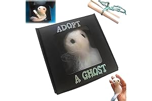 Adopt a Ghost in a Box with 2025 Plush Ghost Doll