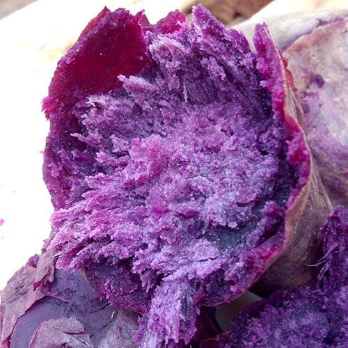 �n���� ���܂��� ���� 4kg �L�@�͔| �� ���������Y �{�茧�Y 1�{100�`500g �y�t�� ������ �p�[�v���X�C�[�g���[�h �i�J�����T�L �ނ炳������ JAS �X�C�[�c ��������8�����{�`10��