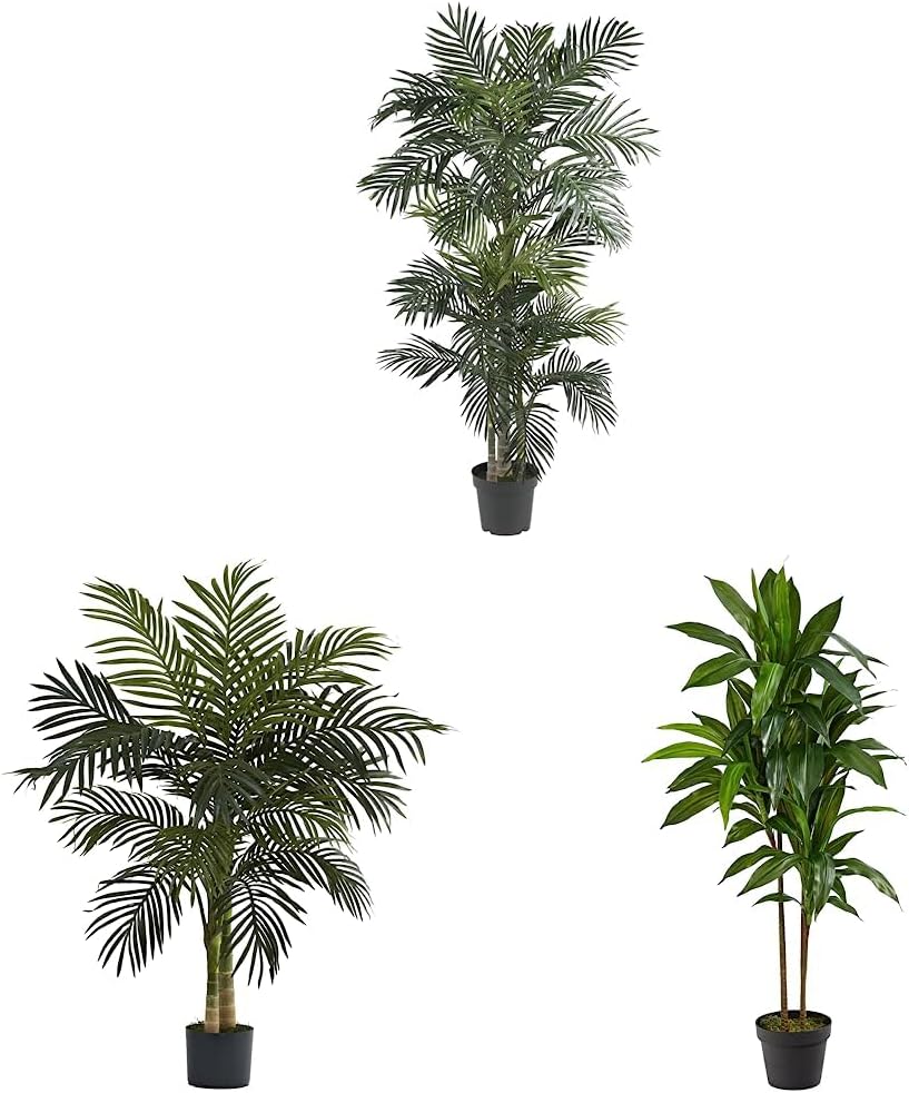 Nearly Natural 5289 6.5ft. Golden Cane Palm Silk Tree,Green & 5357 4ft. 48in. Dracaena (Real Touch) Artificial Plant, 48 in, Green 6 1/2 ft.