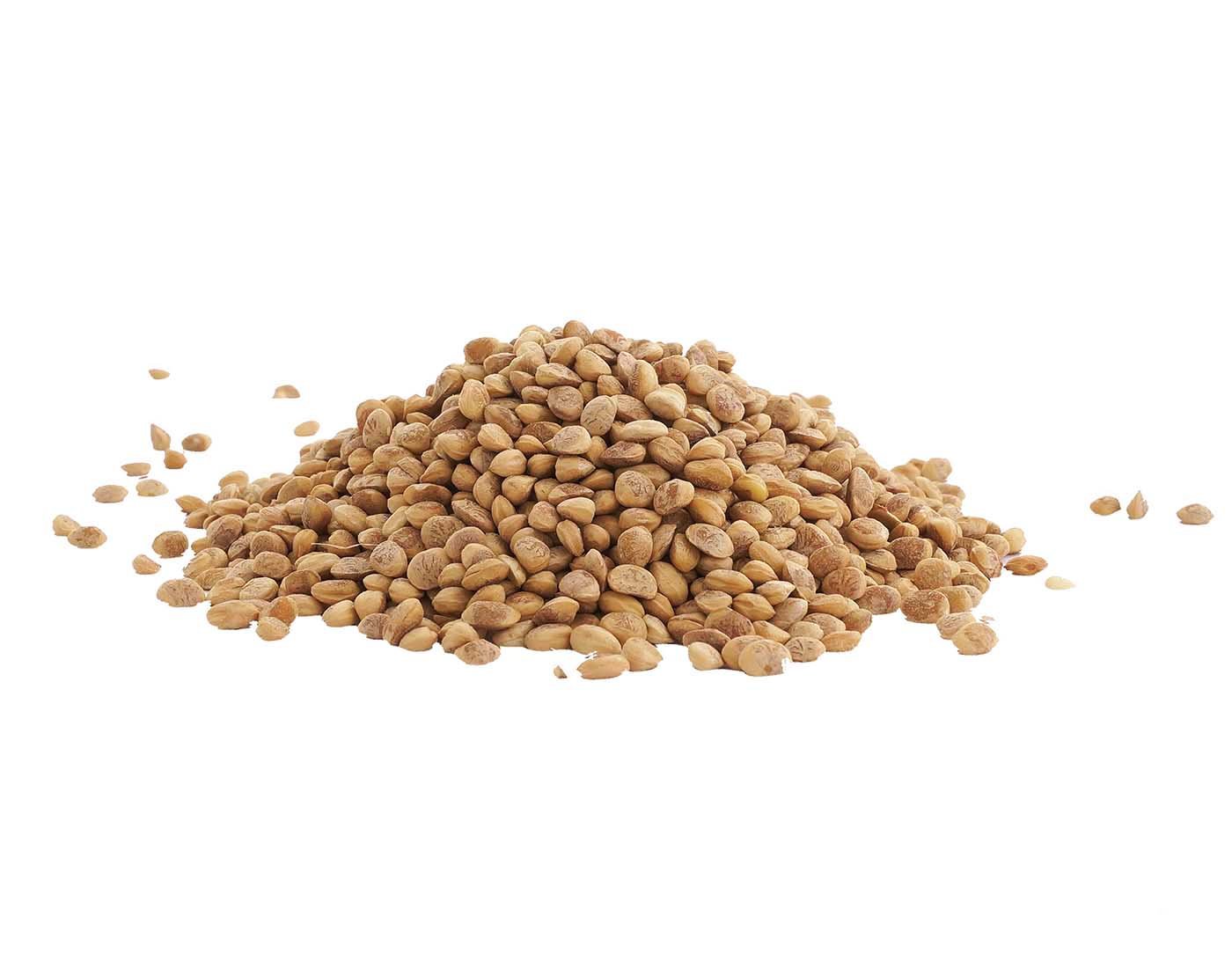 Sainik's Dry Fruit Mall Almondette Kernels/Chironji, 500 grams 1