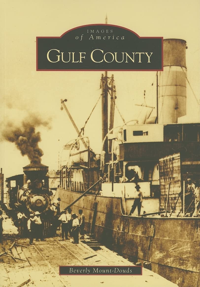 Gulf County Paperback – Illustrated, 9 May 2007