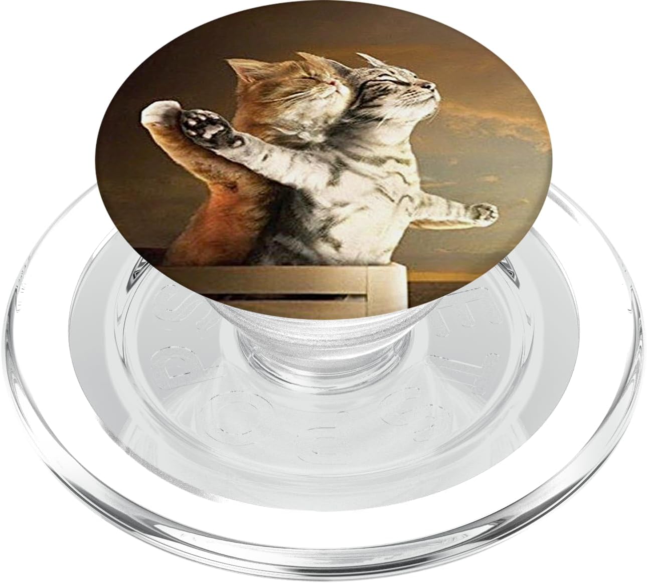 Funny Interesting Titanic Cat Phone Stand PopSockets Grip and Stand for Phones and Tablets PopSockets MagSafe PopGrip for iPhone
