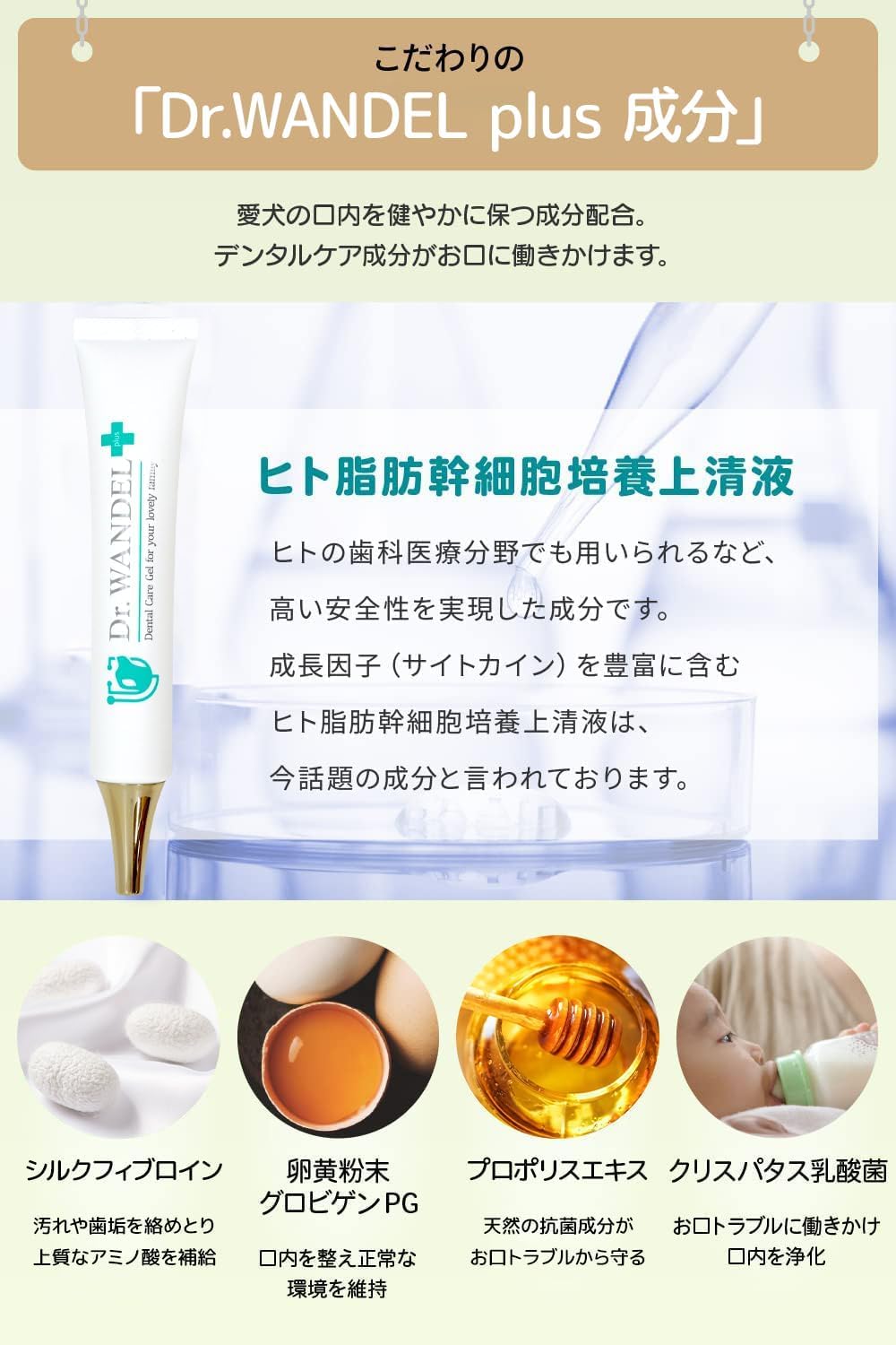 Amazon.co.jp: Dr.WANDEL plus ワンデルプラス 30gx1本 1ヵ月分