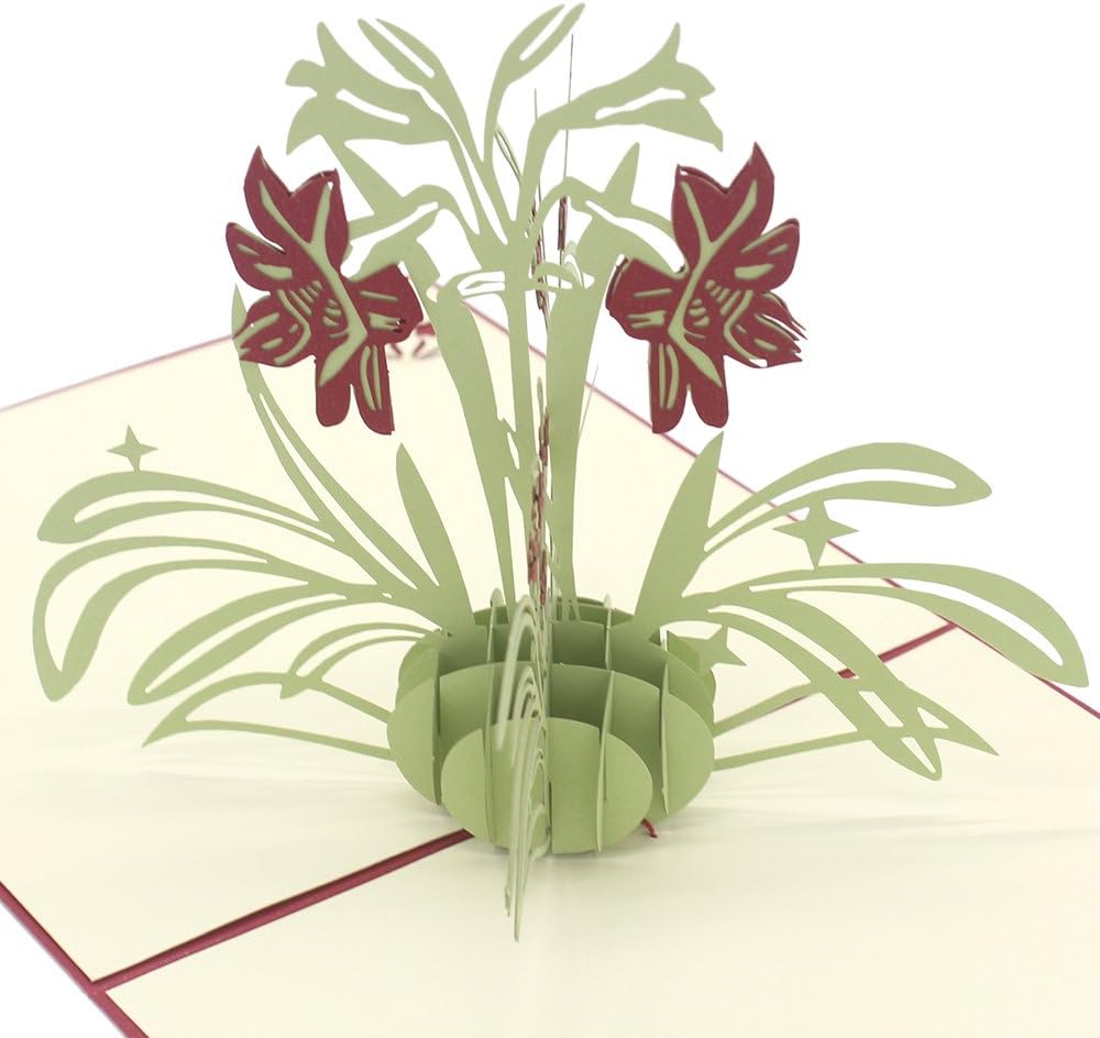 Cute Star Narcissus 3D Pop Up Greeting Cards with Envelope, Gift for Mother's Day Children's Day Birthday Best Wish Good Luck Wedding Invitation Congratulation (Red)