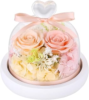 プリザーブドフラワー ハートガラスドーム 枯れない花 シャンパン色とピーチピンク バラ LEDライト付き 誕生日 記念日 女性 人気 プレゼント | 本物のバラ 淡いグラデーション ふんわりとした雰囲気 水やり不要 お手入れ不要 長く楽しめる 枯れない花 アレンジメント 可愛いインテリア 母 妻 彼女　結婚祝い バレンタインデー ホワイトデー クリスマス 喜寿 卒寿 長寿祝い 敬老の日 お花ギフト