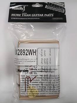ビンテージ！ L-00タイプ PU付きエレアコ G社ロゴシール２枚付き ビンテージ！ L-00タイプ PU付きエレアコ G社ロゴシール2枚付き