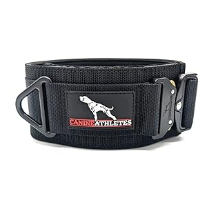 3″ Venator Neoprene Padded Working Dog Collar, Extra Wide, Strong (Extra Large)
