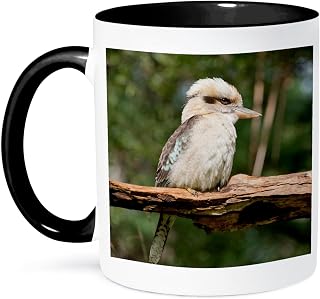 3dRose Australia, Dandenong Ranges. Dandenong NP, Laughing Kookaburra. 11oz Two-Tone Black Mug