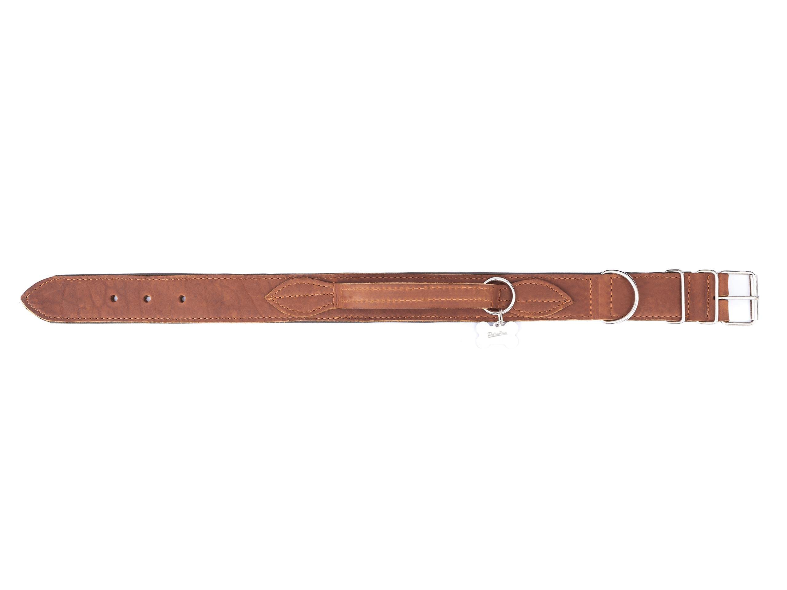 Collier pour chien en cuir avec boucle en métal Marron clair 60 cm