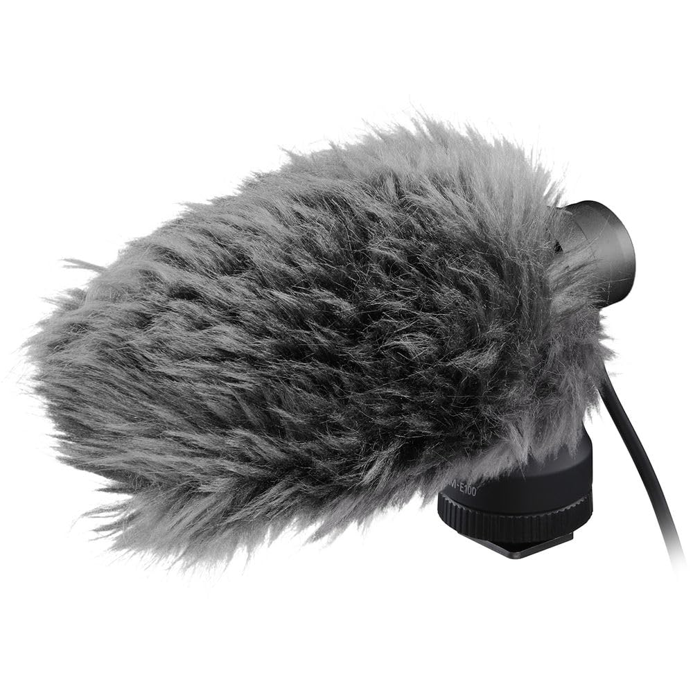 Amazon.com: Canon DM-E100 Directional Microphone Accessory