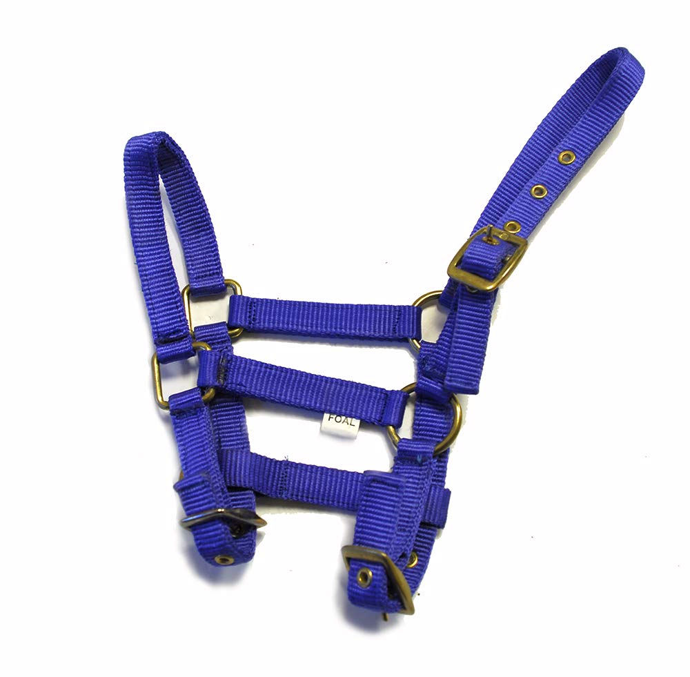Rhinegold Nylon Foal Headcollar - Royal Blue