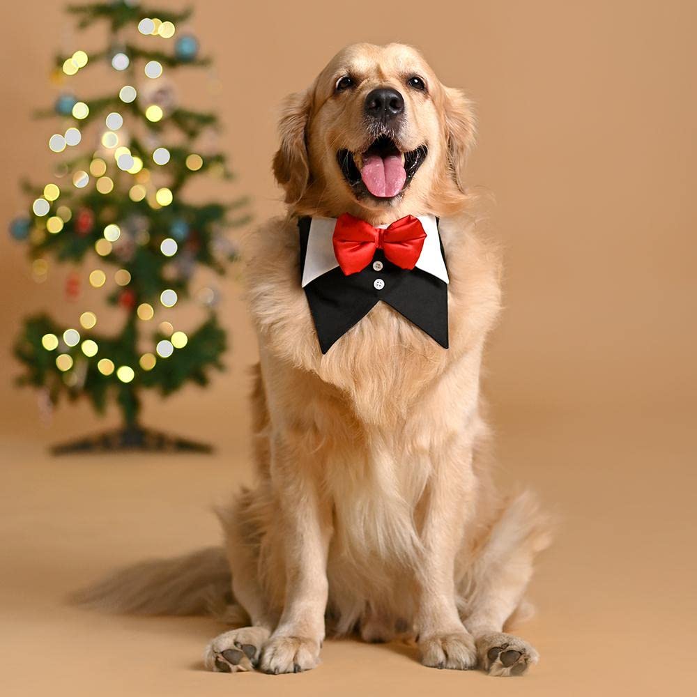 Heads Up For Tails Tuxedo Dog Bandana - Black - M (B09NNDW9WW) Amazon Price History, Amazon Price Tracker