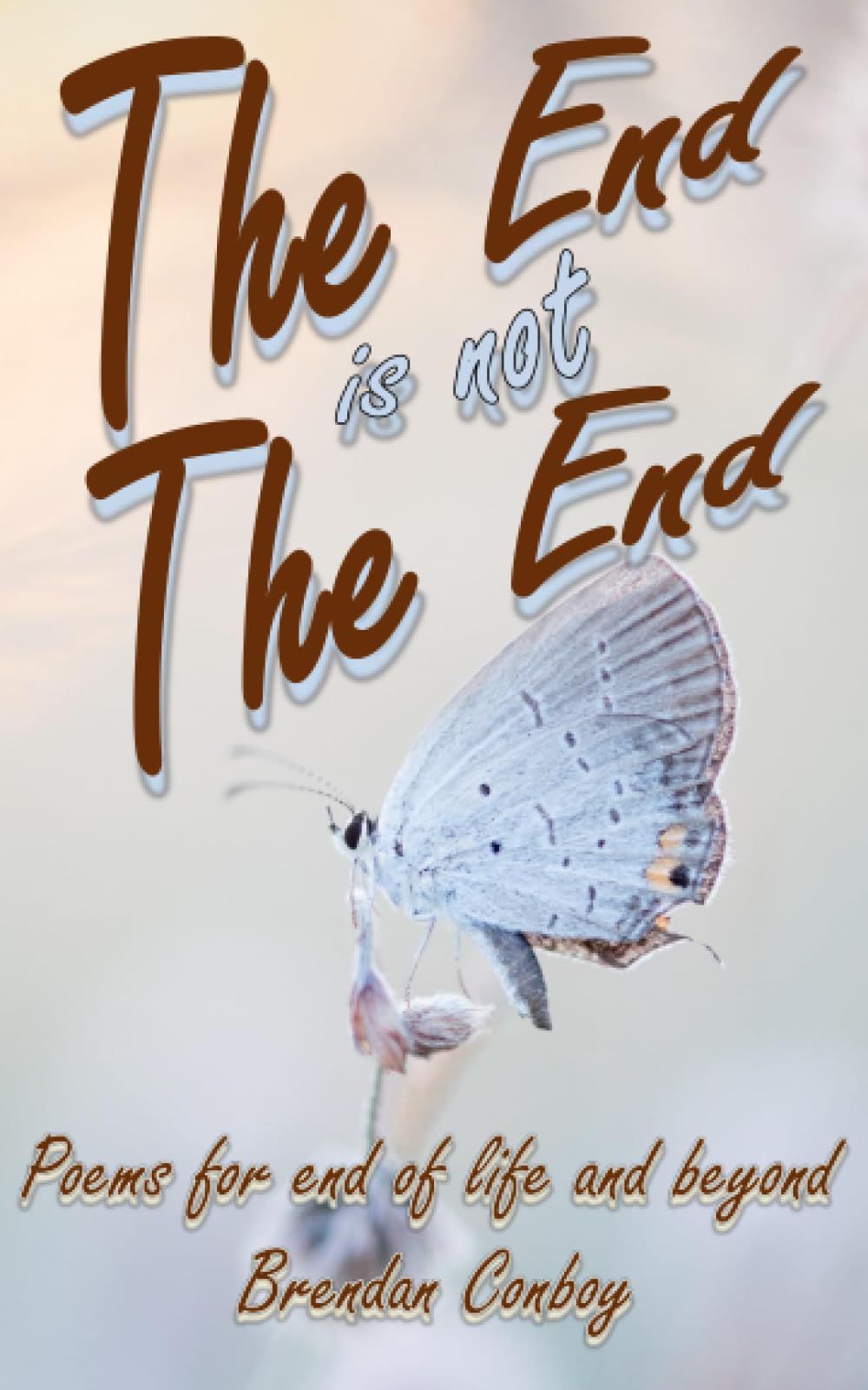 THE END is not THE END: Poems for end of life and beyond