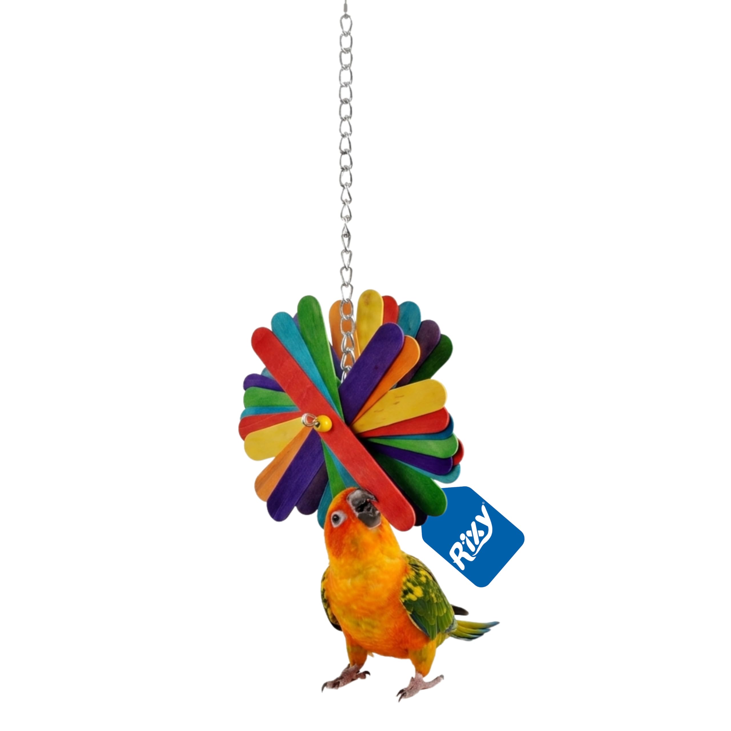 Rixy Natural Wood Hanging Chew Toy for Birds | Foraging Wooden Toy with Colourful Sticks and Beads for Finches, Budgies, Lovebirds, Cockatiels & Conures | Ideal for Small & Medium Birds