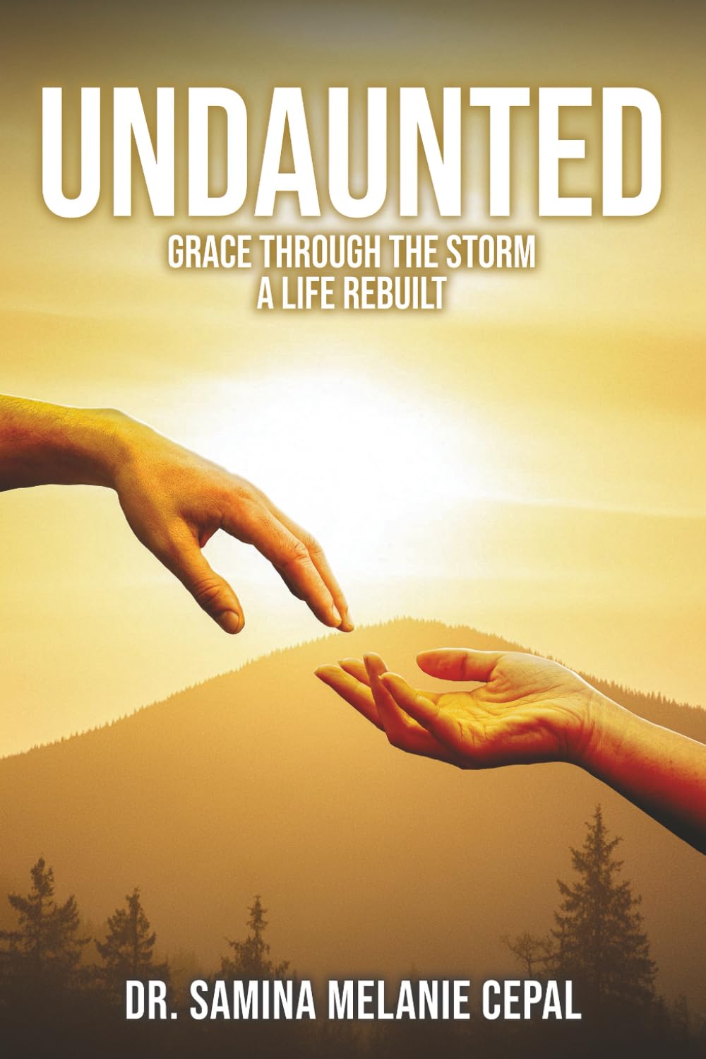UNDAUNTED: Grace Through the Storm – A Life Rebuilt