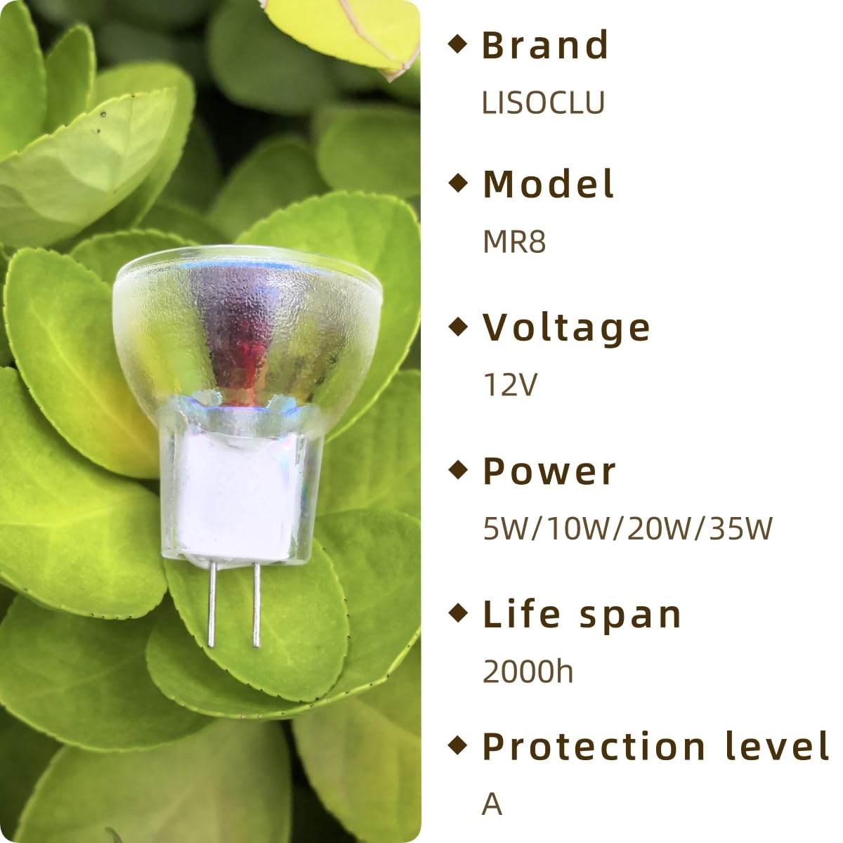 GZ4 ampoule halogène (6pcs) -économie d'énergie 12v 350lm 100cpi GZ4 MR-8 lampe halogène pour votre salon!(35W/12V)