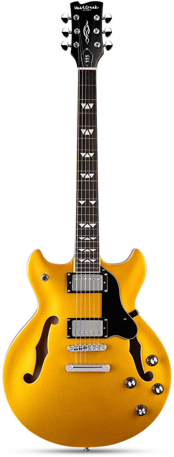 Amazon.com: WestCreek 333 Electric Guitar with 6 String, Semi