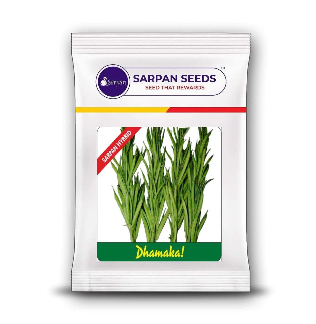 Sarpan Dhamaka Cluserbeans, Gaur ke beej High Yielding Vegetable Seeds Guar Fali Seeds Farming & Gardening (100 GM) (B0C6HJRV7X) Amazon Price History, Amazon Price Tracker