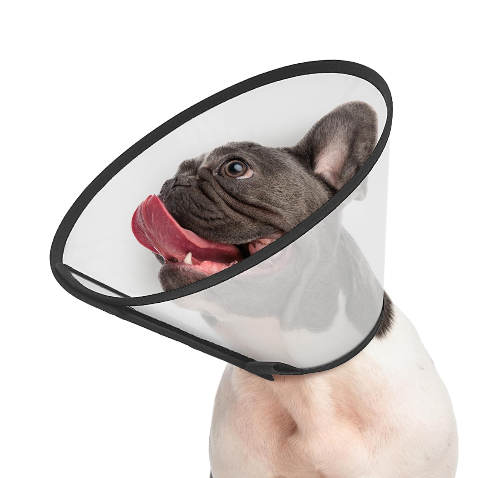 Supet Adjustable Dog Cone Collar for Licking Prevention - Elizabethan Collar for Medium, Small, Large Dogs - Comfortable Pet Recovery After Surgery - Plastic Head Neck Cone of Shame
